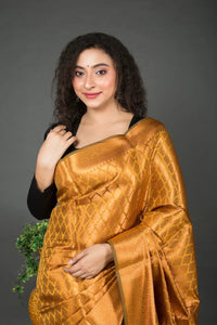 Golden Brocade Banarasi Silk Saree