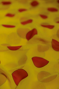 Red Polka Dots over Yellow Chiffon