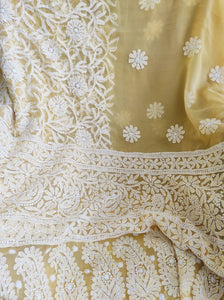 Sands of Serenity Hand Embroidered Georgette Beige Chikankari Saree