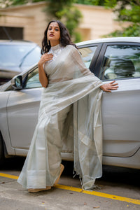 Tussar Tissue Silver