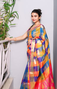 Rangriti- Bangalore Silk Saree (Multicolour)